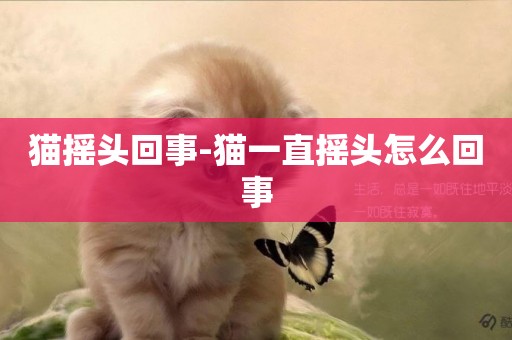 貓搖頭回事-貓一直搖頭怎么回事