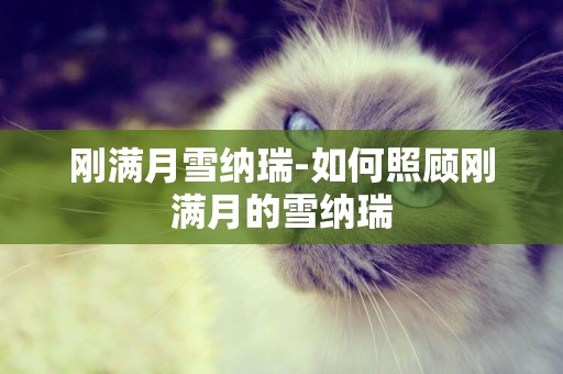 剛滿月雪納瑞-如何照顧剛滿月的雪納瑞