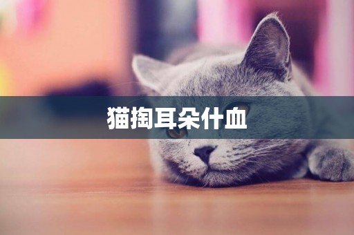 貓掏耳朵什血
