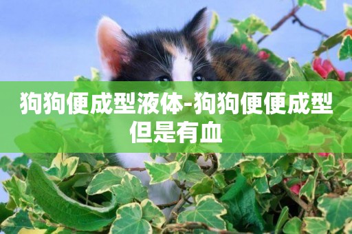 狗狗便成型液體-狗狗便便成型但是有血
