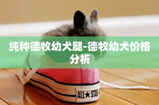 純種德牧幼犬腿-德牧幼犬價格分析