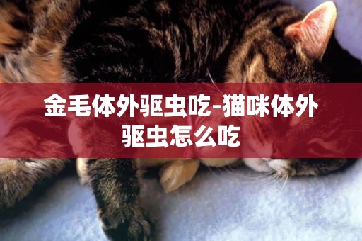 金毛體外驅蟲吃-貓咪體外驅蟲怎么吃