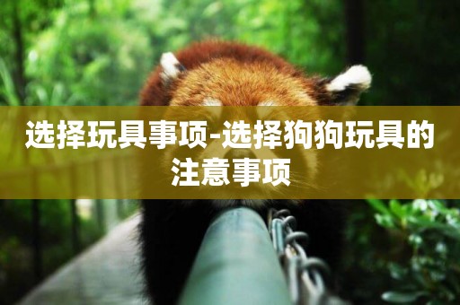 選擇玩具事項-選擇狗狗玩具的注意事項