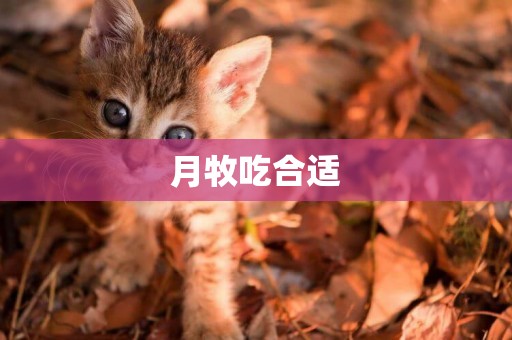 月牧吃合適