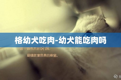 格幼犬吃肉-幼犬能吃肉嗎