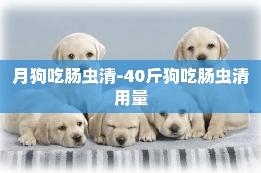 月狗吃腸蟲清-40斤狗吃腸蟲清用量