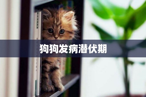 狗狗發病潛伏期