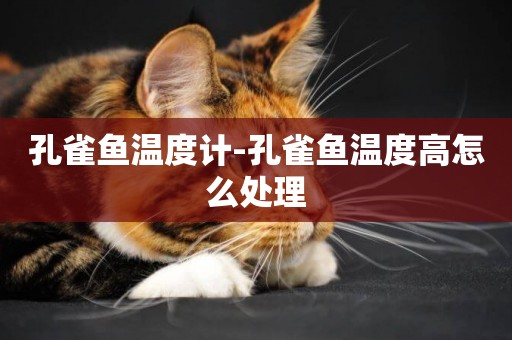 孔雀魚溫度計-孔雀魚溫度高怎么處理