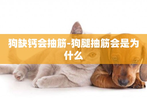 狗缺鈣會抽筋-狗腿抽筋會是為什么