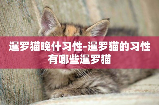 暹羅貓晚什習性-暹羅貓的習性有哪些暹羅貓