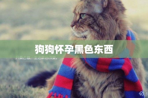 狗狗懷孕黑色東西