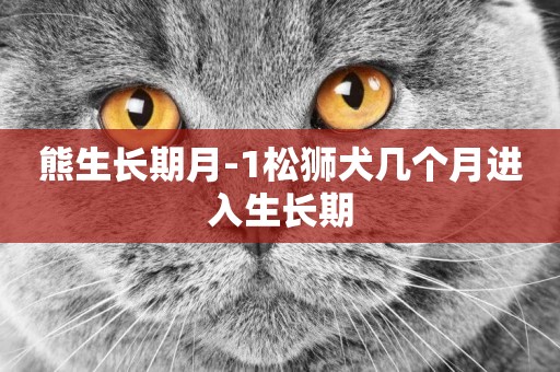 熊生長期月-1松獅犬幾個月進入生長期
