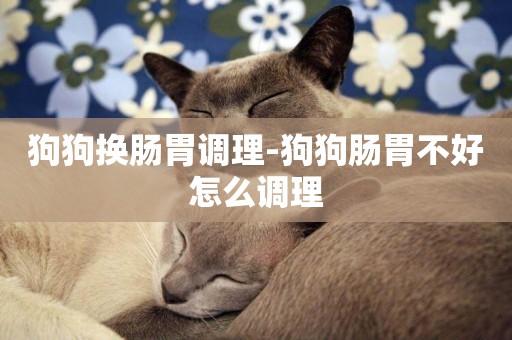 狗狗換腸胃調理-狗狗腸胃不好怎么調理