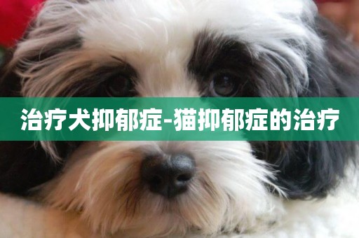 治療犬抑郁癥-貓抑郁癥的治療