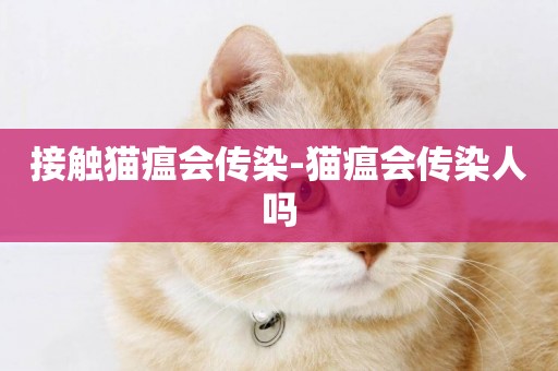 接觸貓瘟會傳染-貓瘟會傳染人嗎
