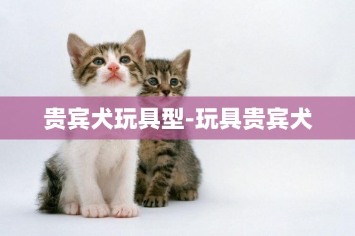 貴賓犬玩具型-玩具貴賓犬