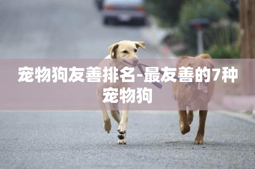 寵物狗友善排名-最友善的7種寵物狗
