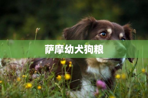 薩摩幼犬狗糧
