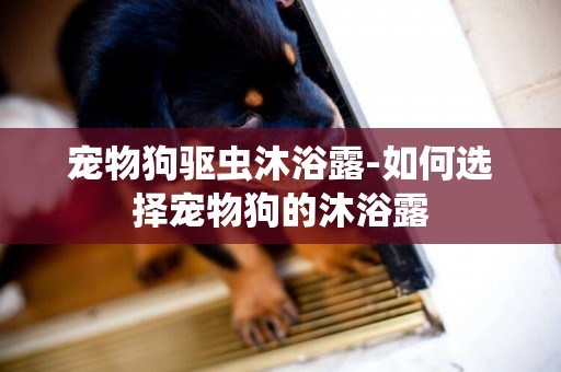 寵物狗驅蟲沐浴露-如何選擇寵物狗的沐浴露