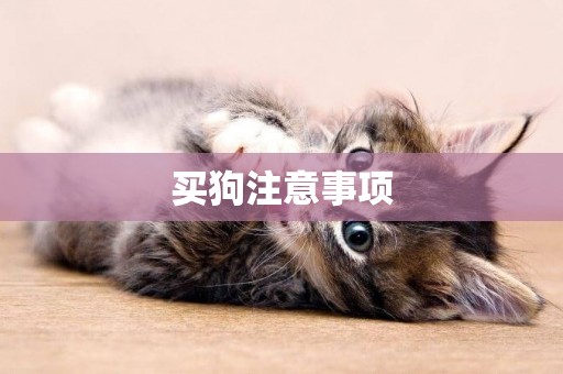 買狗注意事項