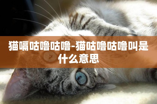 貓嗝咕嚕咕嚕-貓咕嚕咕嚕叫是什么意思