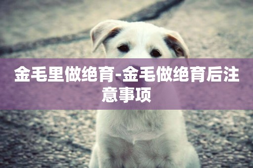 金毛里做絕育-金毛做絕育后注意事項