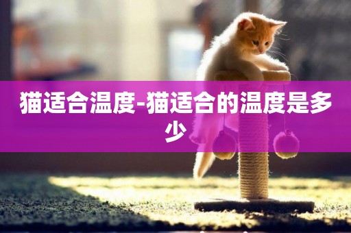 貓適合溫度-貓適合的溫度是多少