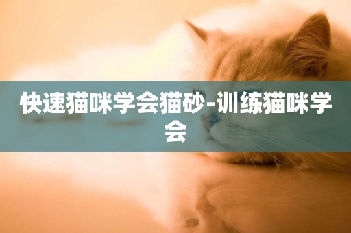 快速貓咪學會貓砂-訓練貓咪學會