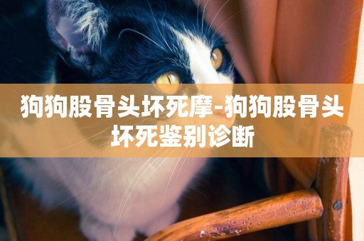 狗狗股骨頭壞死摩-狗狗股骨頭壞死鑒別診斷
