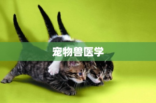 寵物獸醫學