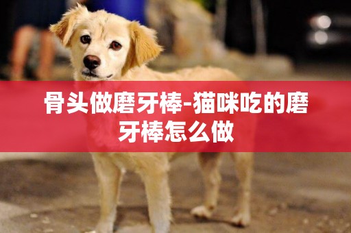 骨頭做磨牙棒-貓咪吃的磨牙棒怎么做