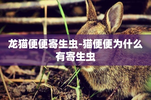 龍貓便便寄生蟲-貓便便為什么有寄生蟲
