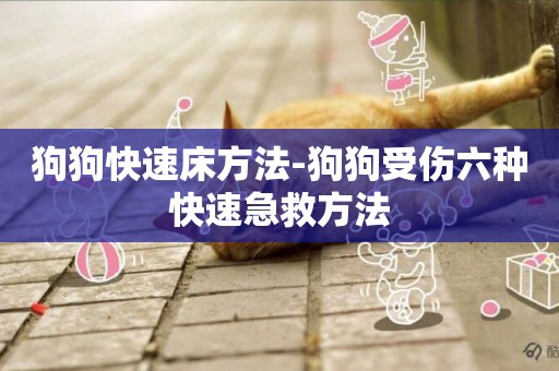 狗狗快速床方法-狗狗受傷六種快速急救方法