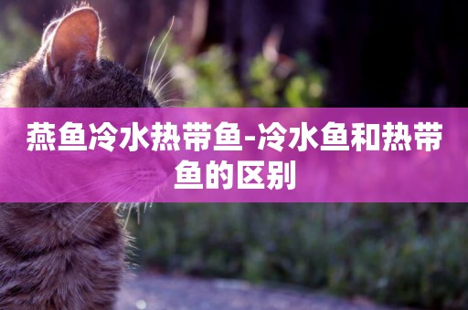 燕魚冷水熱帶魚-冷水魚和熱帶魚的區別