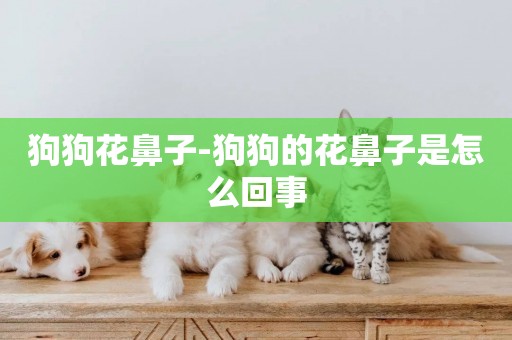 狗狗花鼻子-狗狗的花鼻子是怎么回事