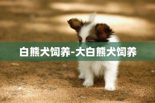 白熊犬飼養-大白熊犬飼養