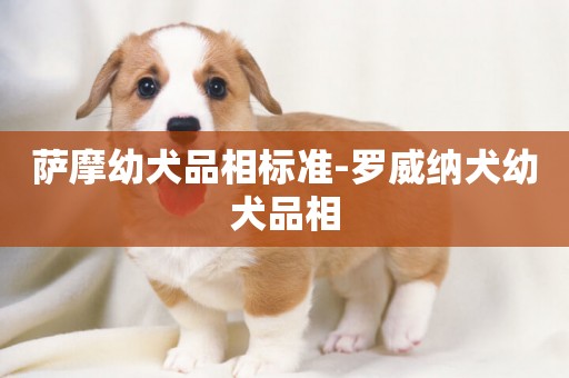 薩摩幼犬品相標準-羅威納犬幼犬品相