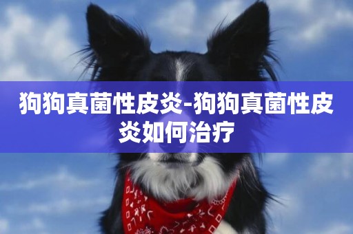 狗狗真菌性皮炎-狗狗真菌性皮炎如何治療