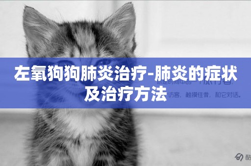 左氧狗狗肺炎治療-肺炎的癥狀及治療方法