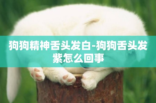 狗狗精神舌頭發白-狗狗舌頭發紫怎么回事