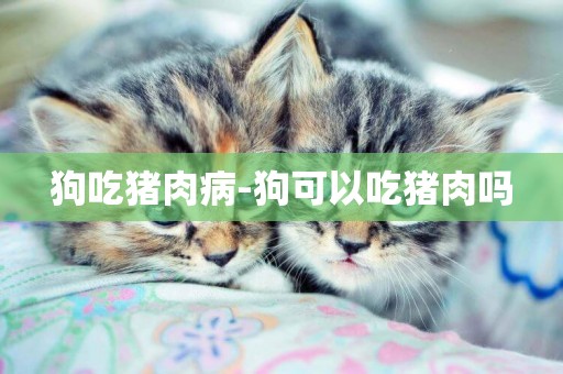 狗吃豬肉病-狗可以吃豬肉嗎