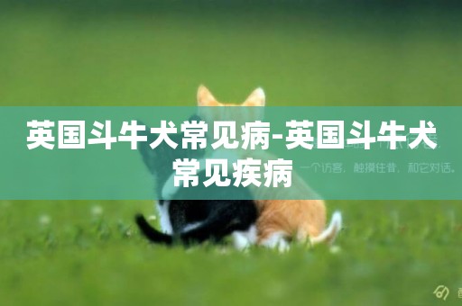 英國斗牛犬常見病-英國斗牛犬常見疾病