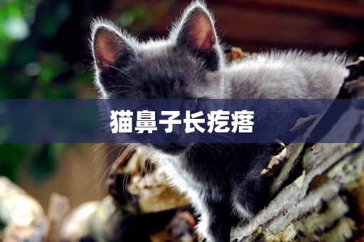 貓鼻子長疙瘩