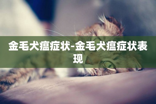 金毛犬瘟癥狀-金毛犬瘟癥狀表現