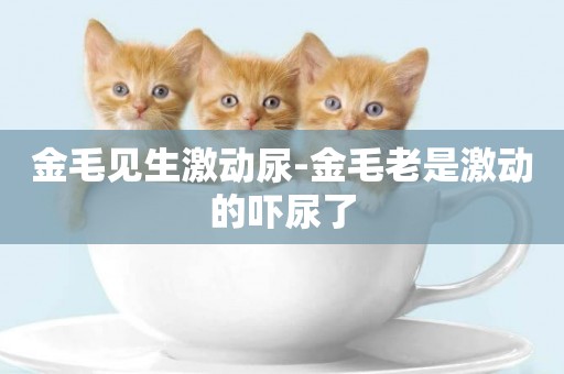 金毛見生激動尿-金毛老是激動的嚇尿了
