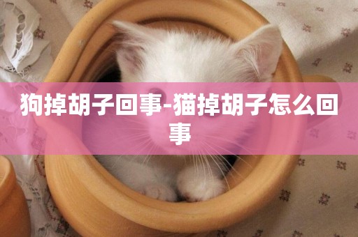狗掉胡子回事-貓掉胡子怎么回事