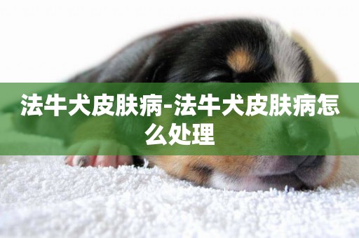 法牛犬皮膚病-法牛犬皮膚病怎么處理