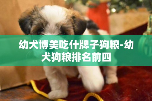 幼犬博美吃什牌子狗糧-幼犬狗糧排名前四