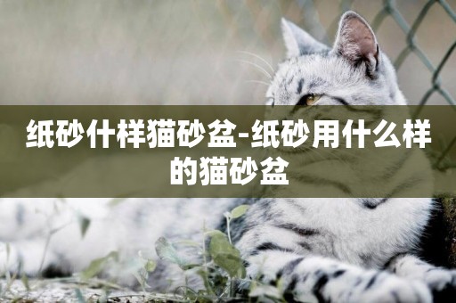 紙砂什樣貓砂盆-紙砂用什么樣的貓砂盆