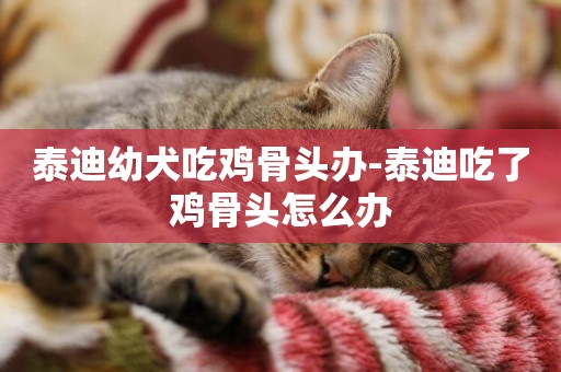 泰迪幼犬吃雞骨頭辦-泰迪吃了雞骨頭怎么辦